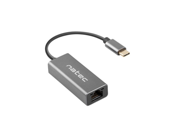 Cricket USB 3.2 Gen 1 (3.1 Gen 1) Type-C Gris