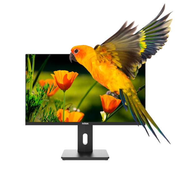 Monitor de 24