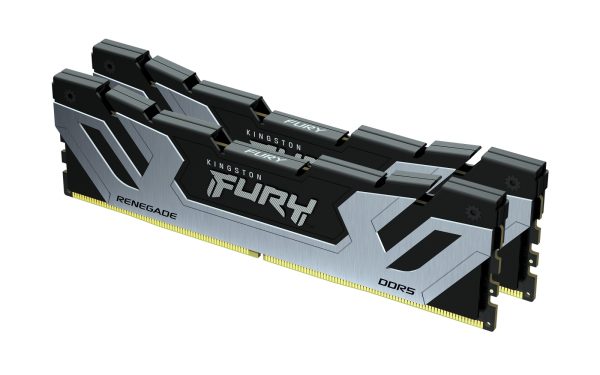 FURY Renegade módulo de memoria 24 GB 1 x 24 GB DDR5