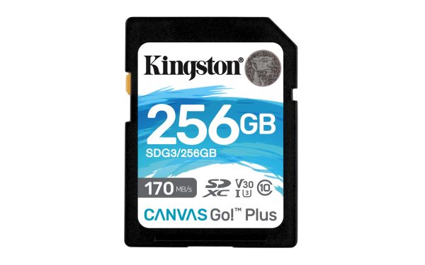 Canvas Go! Plus 256 GB SD UHS-I Clase 10