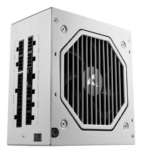 Rebel P20 unidad de fuente de alimentación 750 W 24-pin ATX ATX Blanco