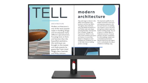 ThinkVision S25e-30 LED display 62,2 cm (24.5") 1920 x 1080 Pixeles Full HD Gris