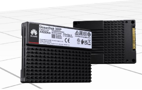HUAWEI SSD INTERNO Oceandisk 300P ES3500P V6 STLZU9NVME3840, 3.84TB SSD NVMe Disk Unit(2.5),sectorsize-512,V120-YX2e,MTC,BJ,HSSD