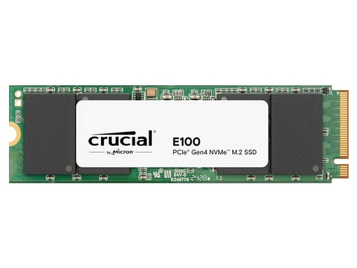 E100 480 GB M.2 PCI Express 4.0 NVMe