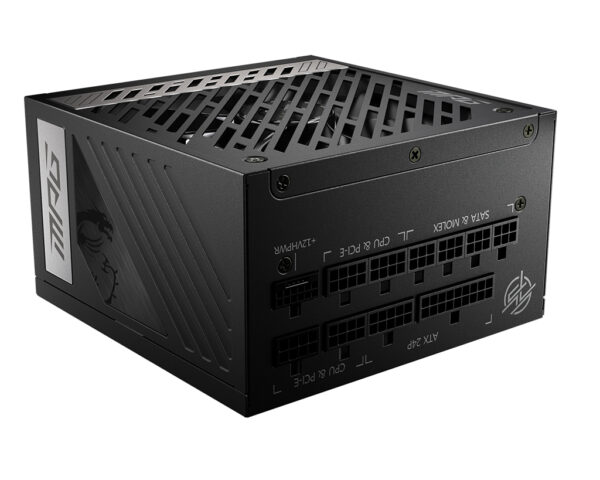 MPG A1000G PCIE5 unidad de fuente de alimentación 1000 W 20+4 pin ATX ATX Negro