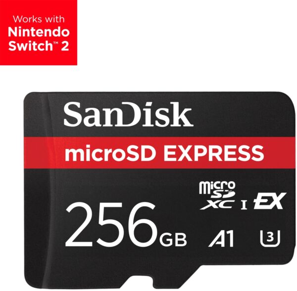 Express 256 GB MicroSDXC UHS-I