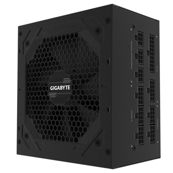 P1000GM unidad de fuente de alimentación 1000 W 20+4 pin ATX Negro