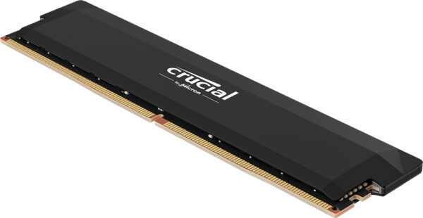 Pro CP16G64C38U5B módulo de memoria 16 GB 1 x 16 GB DDR5 6400 MT/s 288-pin DIMM