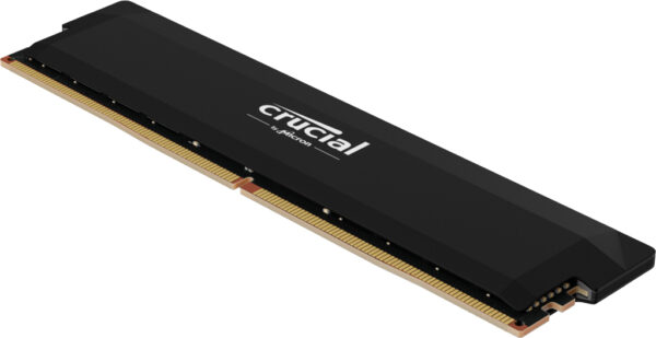 Pro CP16G60C36U5B módulo de memoria 16 GB DDR5 288-pin DIMM ECC