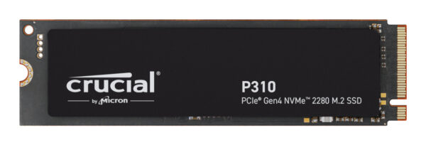 P310 1 TB M.2 PCI Express 4.0 NVMe