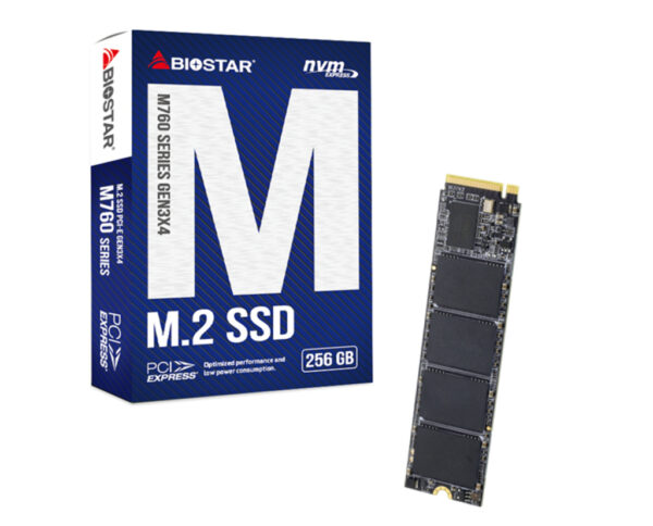 M760 256 GB M.2 PCI Express 4.0 NVMe