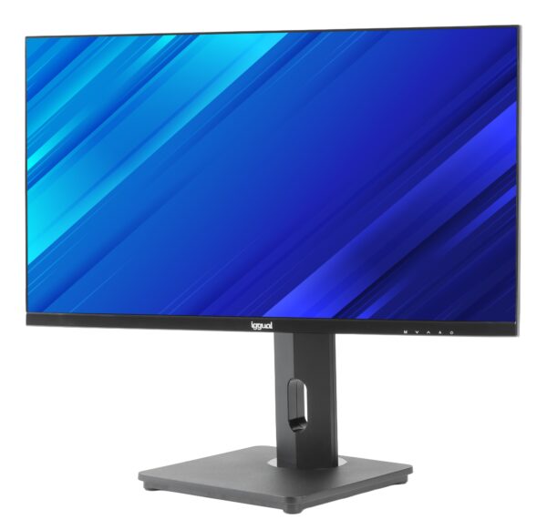 Monitor 24" VGA HDMI 120Hz pivotante AA MM