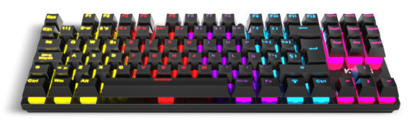 Kasic TKL teclado Juego USB Negro