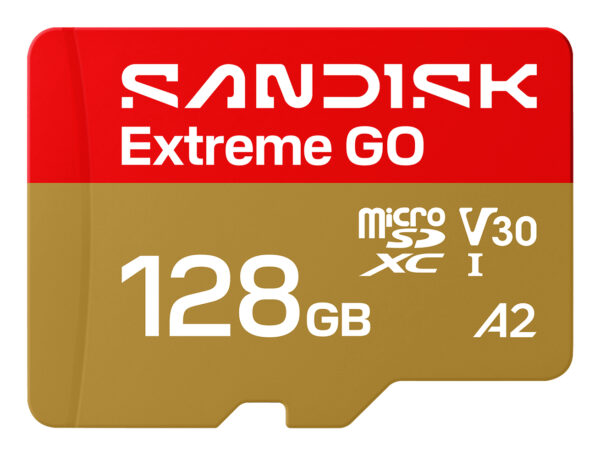 Extreme GO 128 GB MicroSDXC UHS-I