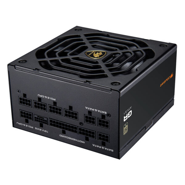 CGRGDN-1000 unidad de fuente de alimentación 1000 W 20+4 pin ATX ATX Negro