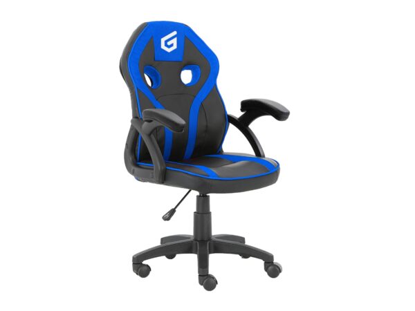 EYOTA06B silla para videojuegos Silla para videojuegos de PC Asiento acolchado Negro, Azul