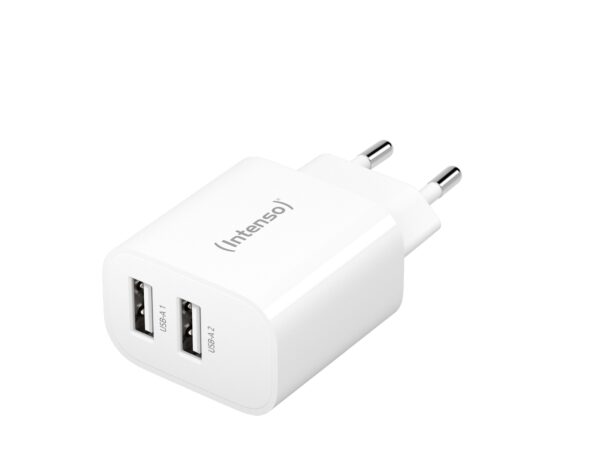 POWER ADAPTER 2XUSB-A/7802412 adaptador e inversor de corriente Interior 24 W Blanco