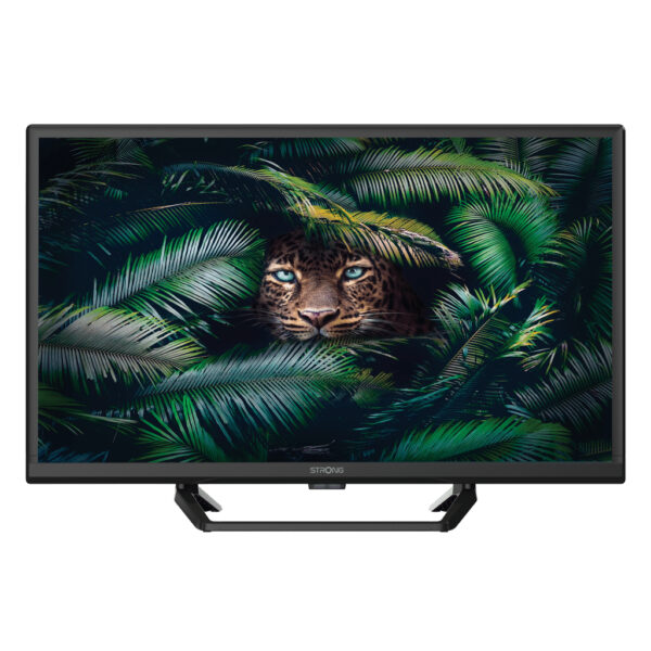 SRT 24HE4023C 61 cm (24") HD Negro 180 cd / m²