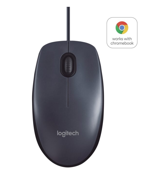 B100 ratón Oficina Ambidextro USB tipo A Óptico 800 DPI