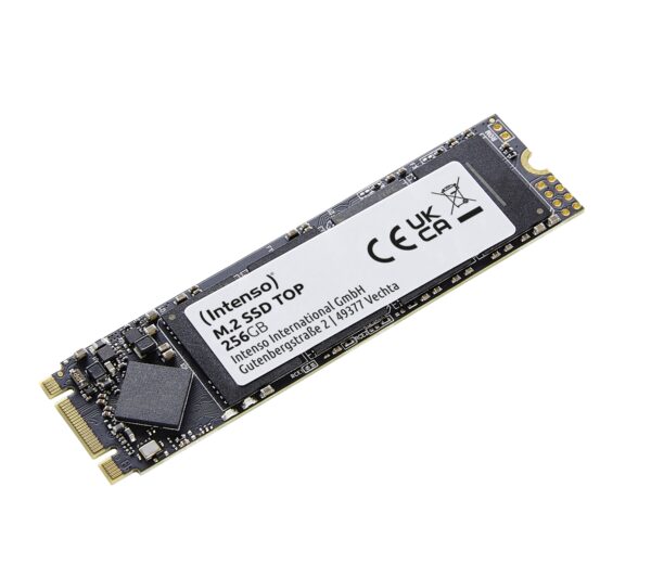 Top 256 GB M.2 Serial ATA III
