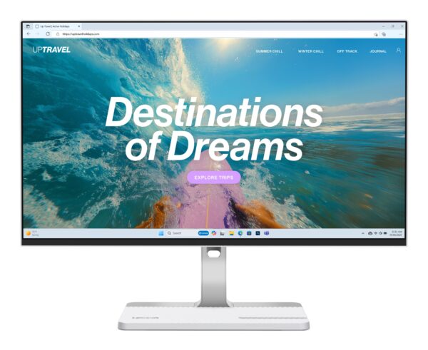 L24D-4C pantalla para PC 60,5 cm (23.8") 1920 x 1080 Pixeles Full HD LCD Gris
