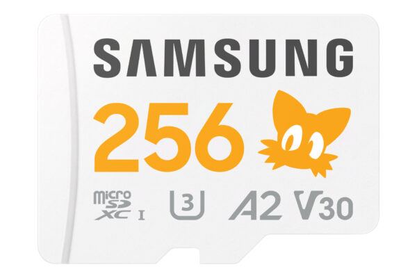 MB-MD256S 256 GB MicroSDXC UHS-I Clase 10