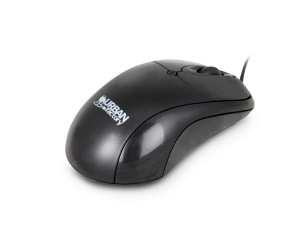 Big Crazy Mouse ratón Oficina Ambidextro USB tipo A Óptico 800 DPI