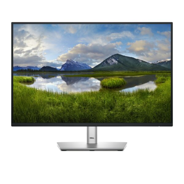 Pro Plus P2425 pantalla para PC 61,1 cm (24.1") 1920 x 1200 Pixeles WUXGA LCD Negro
